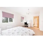 9 College Court Spacious, Modern 4-bed Townhouse In - Pass The Keys *